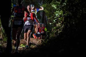 BIB: 702
                            <button type="button" onclick="openModal(19229927)" class="btn btn-primary btn-sm float-right btn-popup" data-toggle="modal" data-target=".modal-high-quality">
                        <i class="fas fa-shopping-cart"></i> Add to Cart
                    </button>
                                            <button type="button" onclick="isThisMe(19229927, true)" class="btn btn-success btn-sm float-right btn-popup btn-isme hidden" data-toggle="tooltip" data-placement="bottom" title="นี่คือรูปของคุณใช่ไหม คลิกที่นี่เพื่อเอาเข้าอัลบั้ม">
                        <i class="fas fa-plus"></i> Add to album
                    </button>
                    <button type="button" onclick="isThisMe(19229927, false)" class="btn btn-warning btn-sm float-right btn-popup btn-isnotme hidden">
                        <i class="fas fa-ban"></i> Remove from album
                    </button>